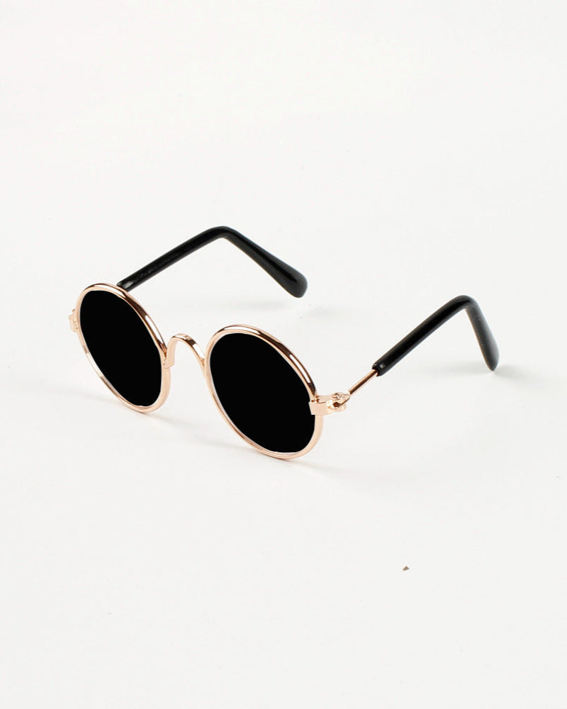 Golden Pup Shades