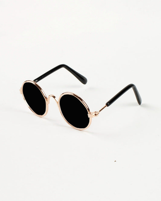 Golden Pup Shades