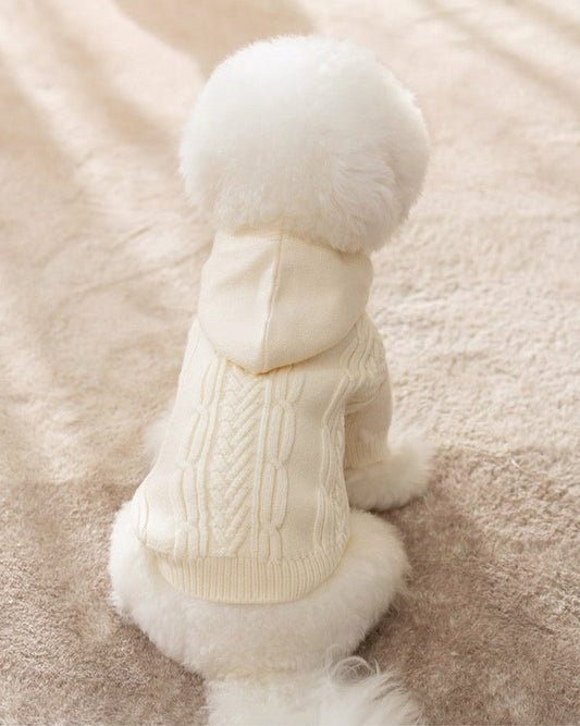 Lemon Paw knit