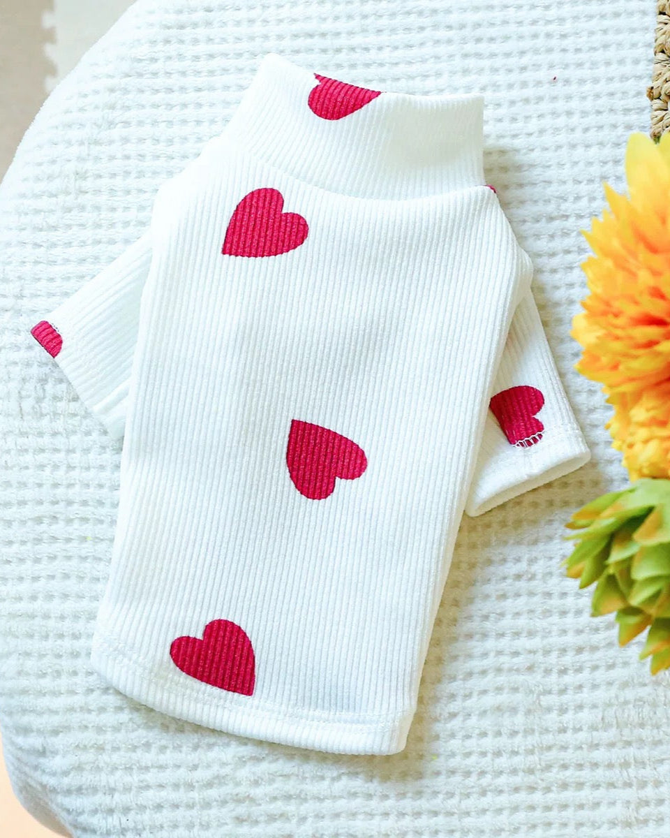 Love Paw Sweaters