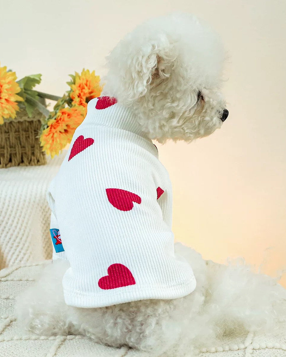 Love Paw Sweaters