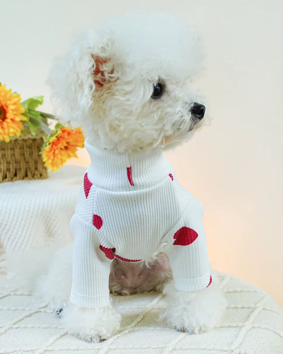 Love Paw Sweaters