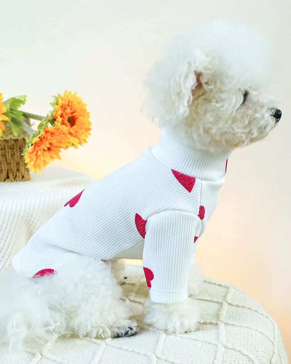 Love Paw Sweaters