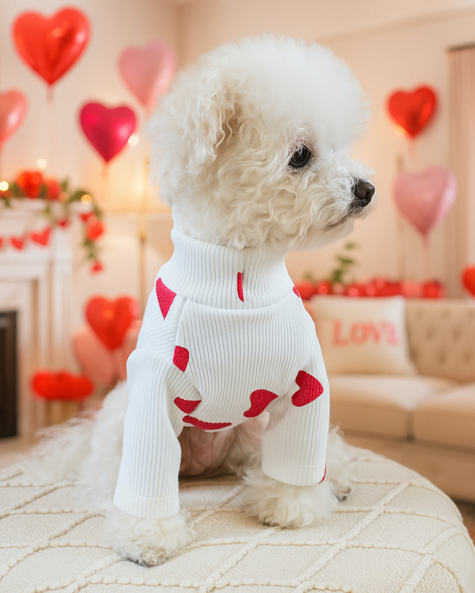 Love Paw Sweaters