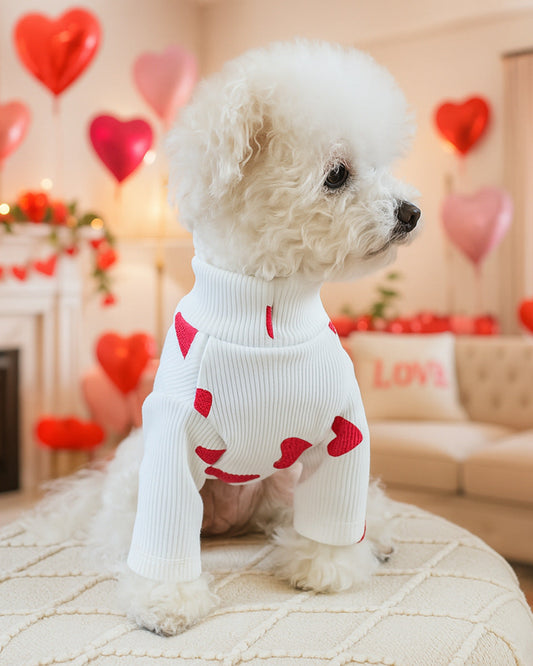 Love Paw Sweaters